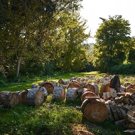Il Mulino Di Sotto Lejlighed Mombaroccio