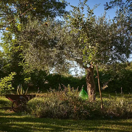 Il Mulino Di Sotto Mombaroccio