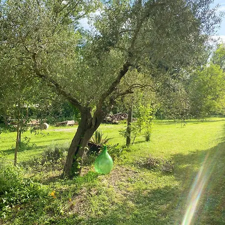 Il Mulino Di Sotto Lejlighed