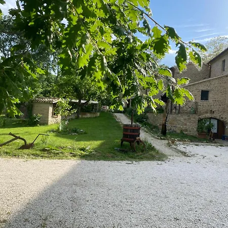 Il Mulino Di Sotto